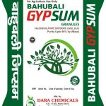 bahubali-gypsum