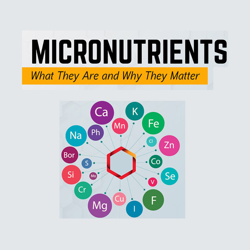 Micro Nutrients | Dara Chemicals