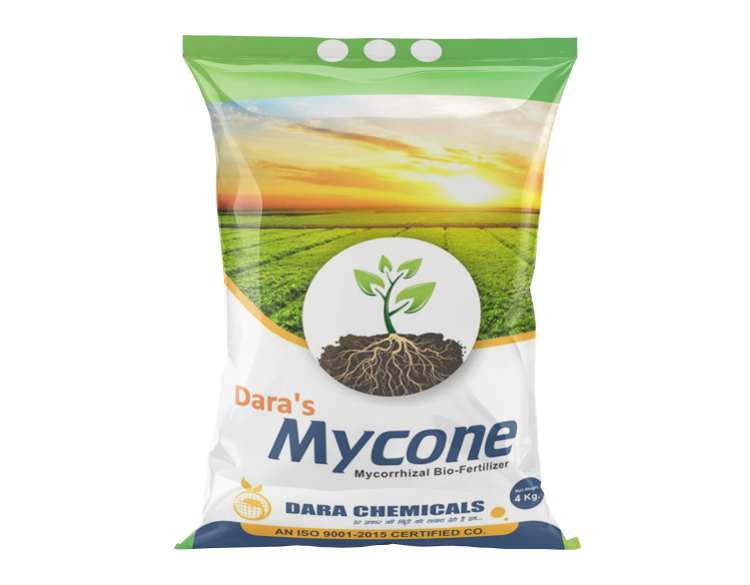 MYCONE (Mycorrhizal Bio-Fertilizer)